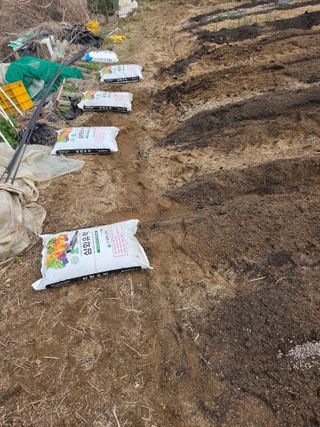 김윤회님의 기타작물 · 영농일지 작성글 사진
