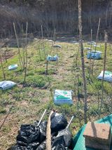 팜모닝 기타작물·영농일지 게시글 이미지