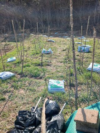김윤철님의 기타작물 · 영농일지 작성글 사진
