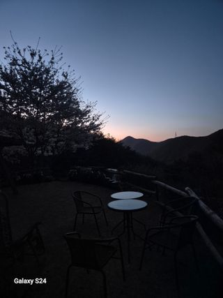 박성균님의 두릅 · 영농일지 작성글 사진