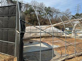 임영택님의 기타작물 · 영농일지 작성글 사진