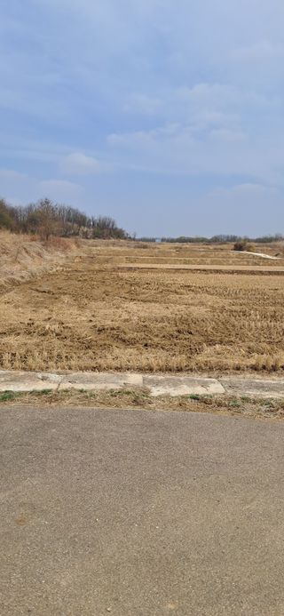 이복길님의 기타작물 · 영농일지 작성글 사진