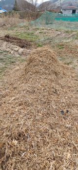 남궁봉님의 작성글 사진