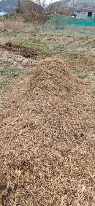 남궁봉님의 기타작물 · 영농일지 작성글 사진