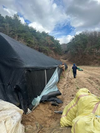 임영택님의 기타작물 · 영농일지 작성글 사진