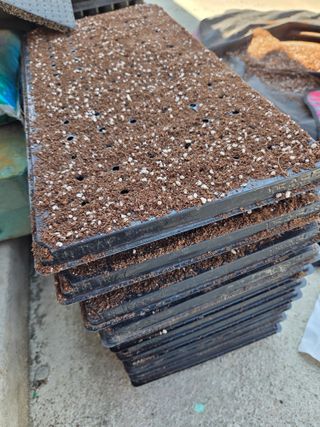 김연숙님의 기타작물 · 영농일지 작성글 사진