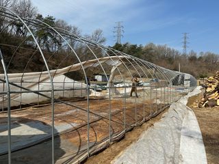 임영택님의 기타작물 · 영농일지 작성글 사진