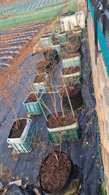 bpjh9173님의 작성글 사진