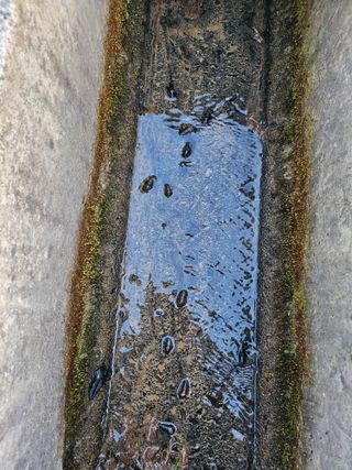 서정훈 님의 기타작물 · 영농일지 작성글 사진