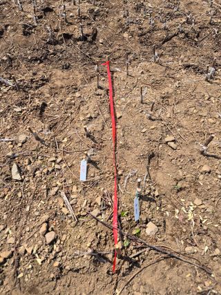 님의 감 · 영농일지 작성글 사진