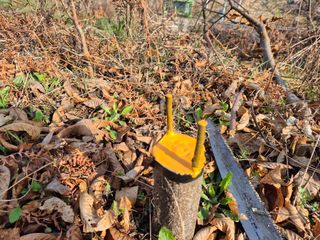 최문탁님의 기타작물 · 영농일지 작성글 사진