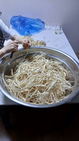 이상철님의 기타작물 · 영농일지 작성글 사진