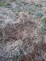 팜모닝 기타작물·영농일지 게시글 이미지