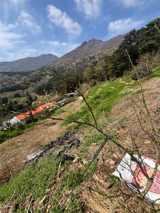 백민곤님의 기타작물 · 영농일지 작성글 사진