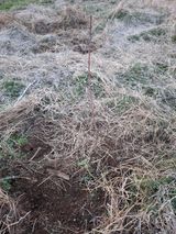 배현미님의 작성글 사진