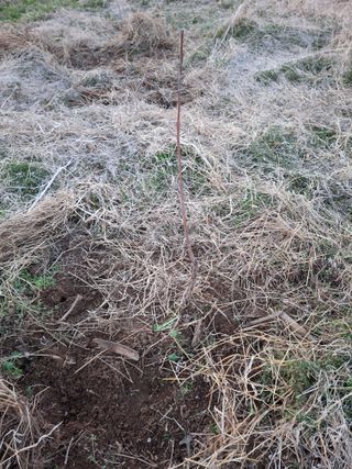 배현미님의 기타작물 · 영농일지 작성글 사진