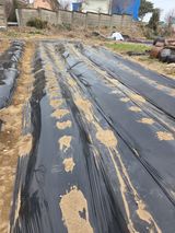 백현호님의 작성글 사진