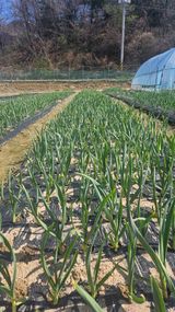 이순정님의 작성글 사진