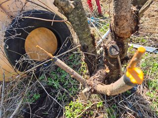 최문탁님의 기타작물 · 영농일지 작성글 사진