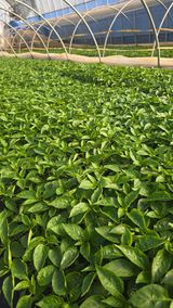 박수열님의 작성글 사진