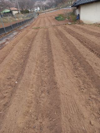 전진욱님의 기타작물 · 영농일지 작성글 사진