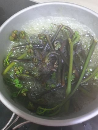 서선옥님의 감 · 영농일지 작성글 사진