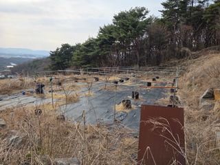 이종애님의 두릅 · 영농일지 작성글 사진