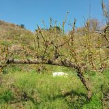 섬진강님의 작성글 사진