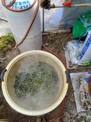 김명자님의 기타작물 · 영농일지 작성글 사진