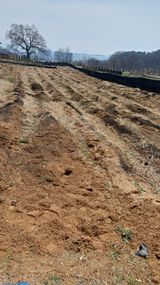 팜모닝 기타작물·영농일지 게시글 이미지