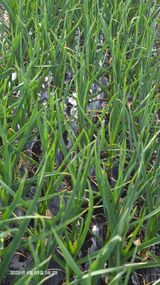 박용열조물주님 님의 작성글 사진