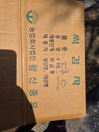 박병철님의 감자 · 영농일지 작성글 사진