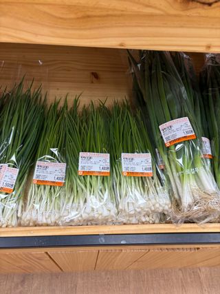 김영완님의 파 · 영농일지 작성글 사진