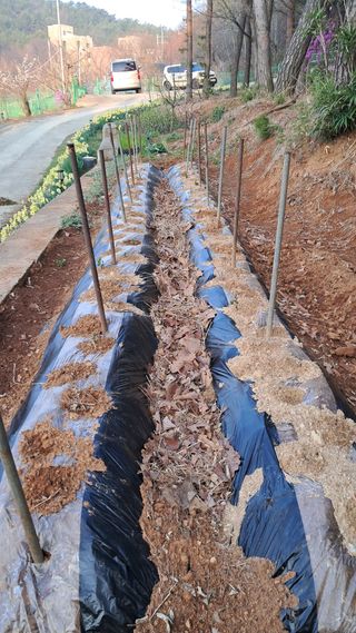 bpjh9173님의 기타작물 · 영농일지 작성글 사진