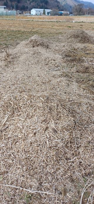 남궁봉님의 작성글 사진