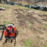 팜모닝 기타작물·영농일지 게시글 이미지