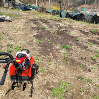 화려한이글님의 기타작물 · 영농일지 작성글 사진