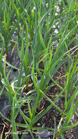 박용열조물주님 님의 작성글 사진