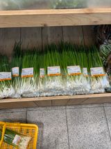 김영완님의 작성글 사진