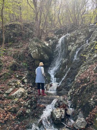 백민곤님의 기타작물 · 영농일지 작성글 사진