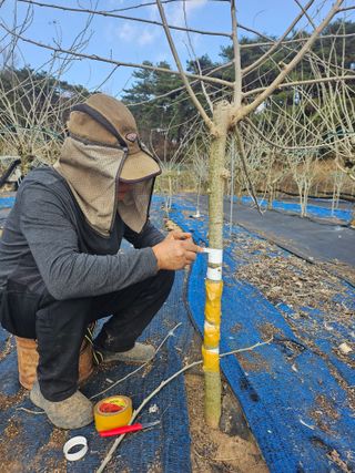 흰돌농원님의 기타작물 · 영농일지 작성글 사진