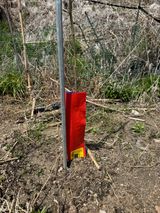 이관희님의 작성글 사진