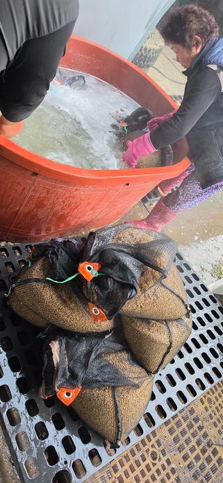 강연수님의 벼 · 영농일지 작성글 사진