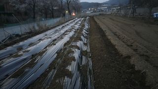 홍성관님의 기타작물 · 영농일지 작성글 사진