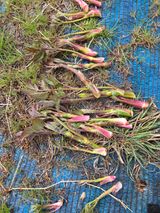 김영옥님의 작성글 사진