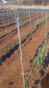 하루의행복님의 작성글 사진