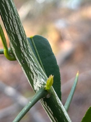 백민곤님의 작성글 사진