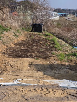 최연숙님의 기타작물 · 영농일지 작성글 사진