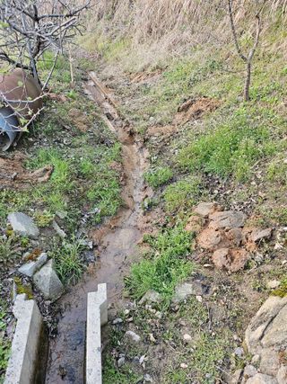 서정훈 님의 기타작물 · 영농일지 작성글 사진