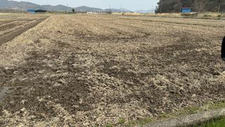 씨와님의 기타작물 · 영농일지 작성글 사진